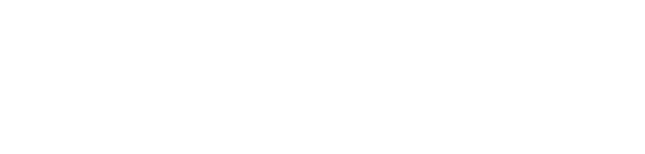 YSDS Logo White